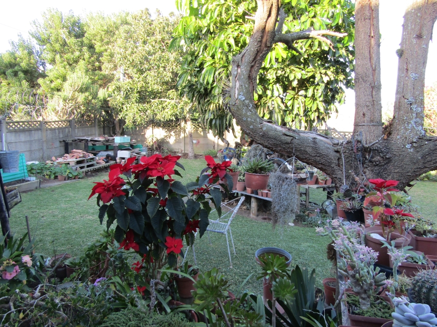 3 Bedroom Property for Sale in Humansdorp Eastern Cape